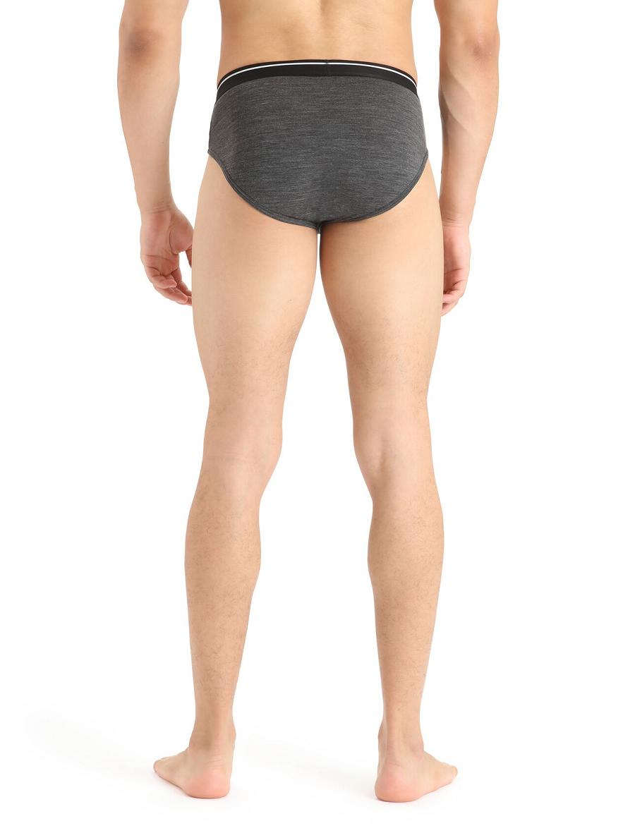 Men's Icebreaker Merino Anatomica Briefs Underwear Jet Heather | CA 1649TCEV